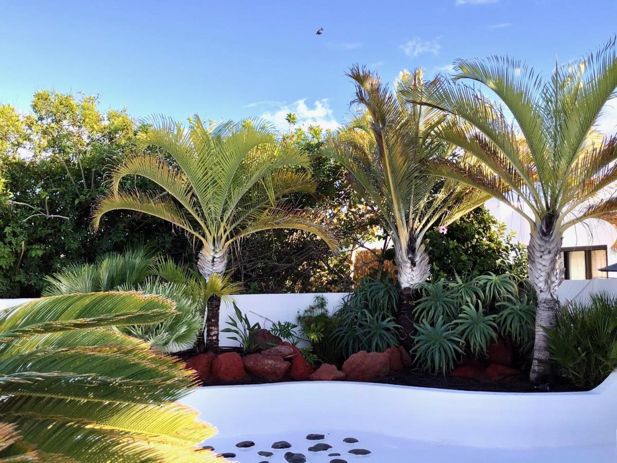Villa Picasso Private Pool Плая Бланка Екстериор снимка